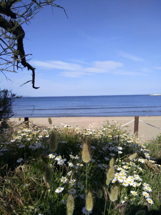 Apartamentos Stil Mar Anna - L'Escala Stil Mar מראה חיצוני תמונה